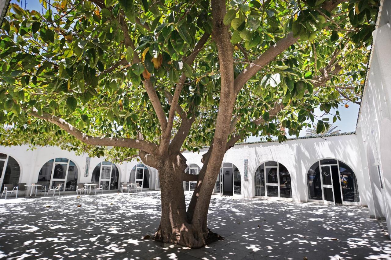 Hotel Palmyra Club Nabeul Esterno foto